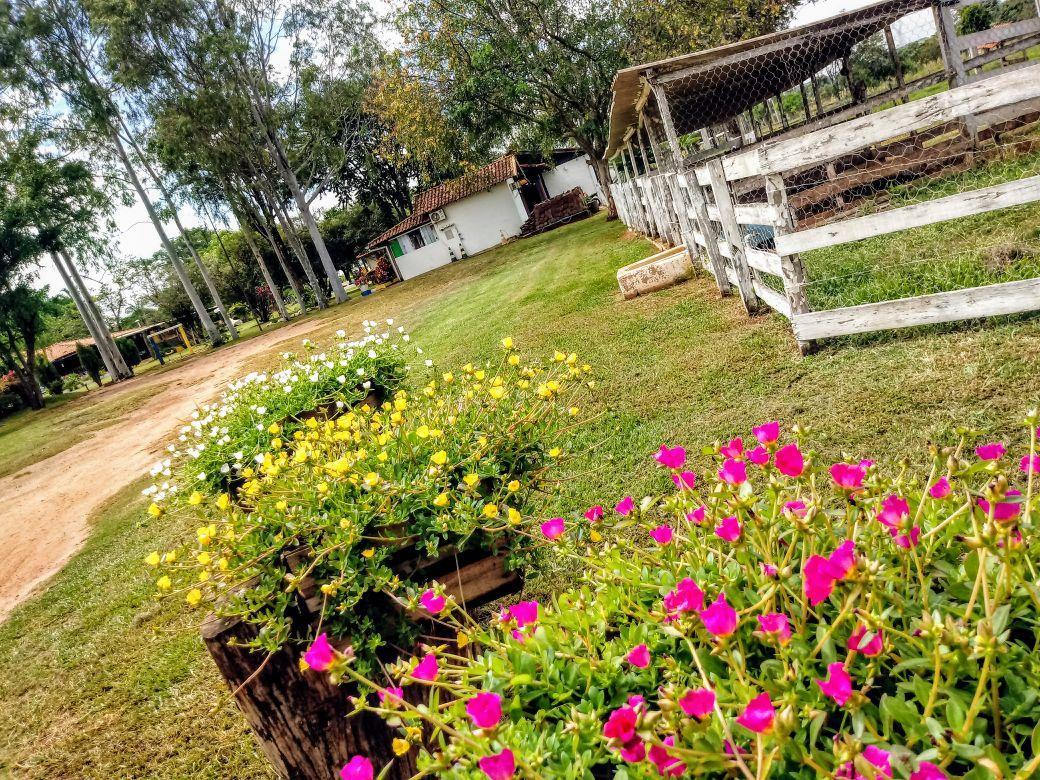 Hotel Fazenda Dos Ipes Olímpia Dış mekan fotoğraf